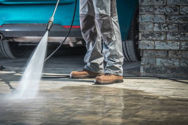 Best Gutter Cleaning  in Sneads, FL