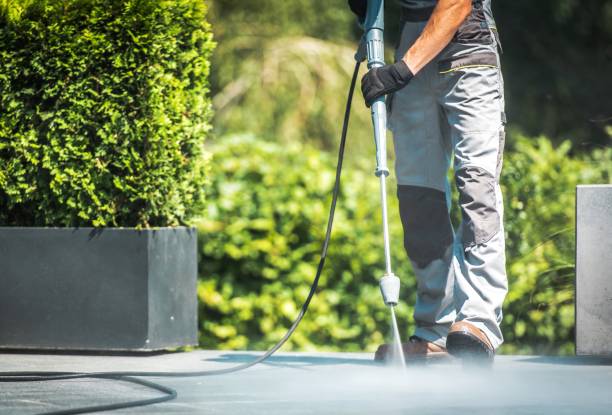 Best Building Exterior Washing  in Sneads, FL